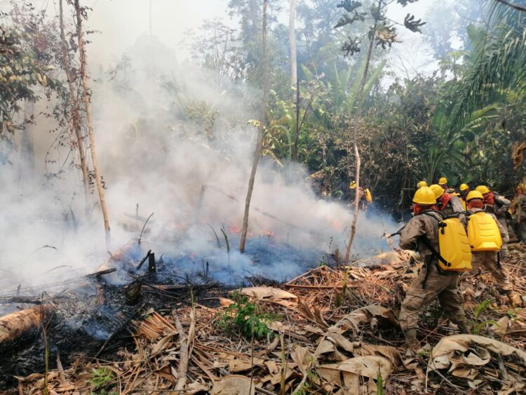 Combates a los incendios forestales en el país no cesan pero cada vez que se sofoca uno aparece otro