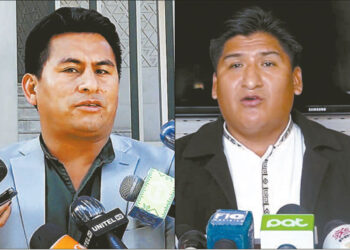 División en el MAS: hay dos jefes de bancada en Diputados