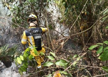 Sin incendios de magnitud, se reportan 530 focos de calor y 1.075.765 hectáreas afectadas