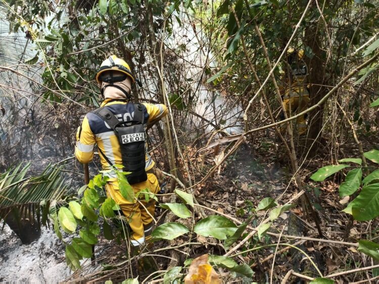 Sin incendios de magnitud, se reportan 530 focos de calor y 1.075.765 hectáreas afectadas