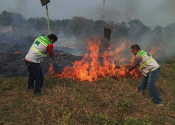 Conozca cuál es la afección más recurrente en los afectados por los incendios en Beni