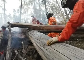 En cuatro meses, 61 incendios consumieron al menos 100 hectáreas en La Paz