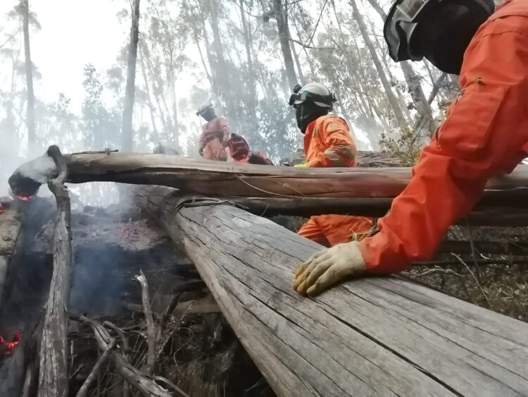 En cuatro meses, 61 incendios consumieron al menos 100 hectáreas en La Paz