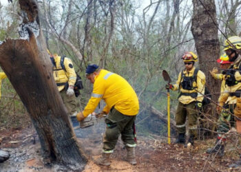 Lluvias ayudan a aplacar incendios forestales en el departamento de Santa Cruz