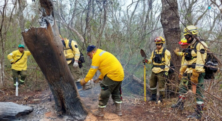 Lluvias ayudan a aplacar incendios forestales en el departamento de Santa Cruz