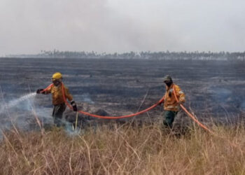 Bomberos luchan con dos incendios forestales de magnitud en sendas áreas protegidas cruceñas
