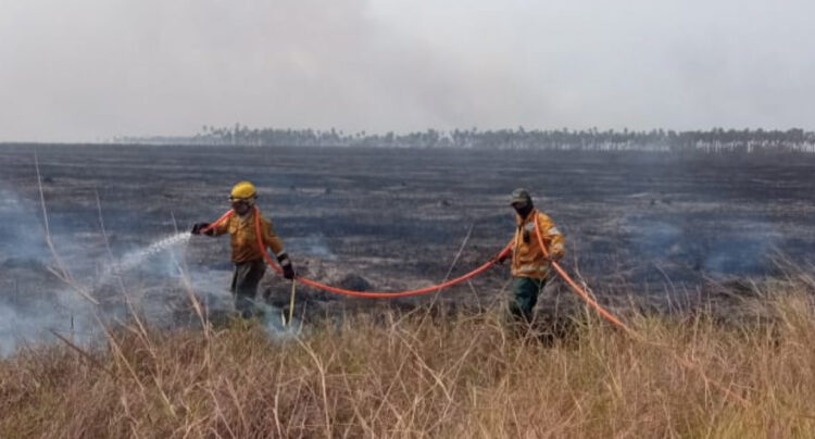 Bomberos luchan con dos incendios forestales de magnitud en sendas áreas protegidas cruceñas