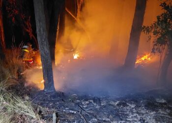 Solo en septiembre se registraron 12 incendios en áreas protegidas de La Paz