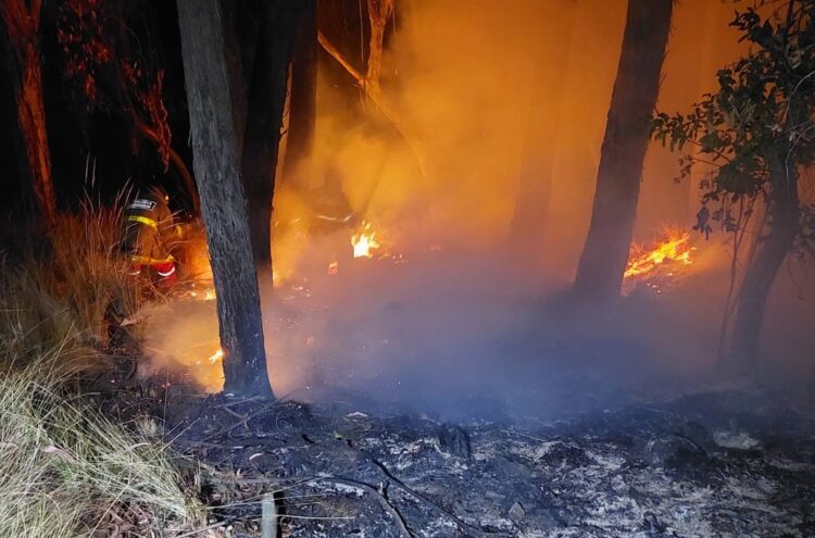 Solo en septiembre se registraron 12 incendios en áreas protegidas de La Paz