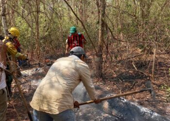 Ya son más de 600 mil las hectáreas afectadas por los incendios forestales en Santa Cruz