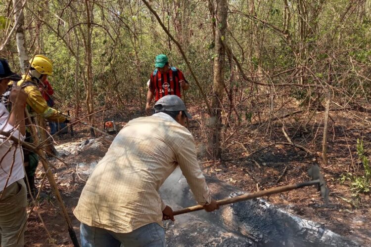 Ya son más de 600 mil las hectáreas afectadas por los incendios forestales en Santa Cruz