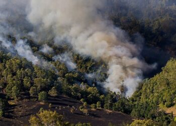 Incendios y sequía, los fenómenos naturales que afectan al país vienen en ‘combo’
