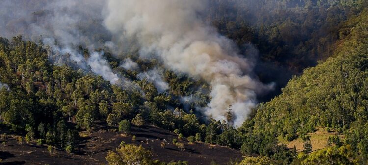 Incendios y sequía, los fenómenos naturales que afectan al país vienen en ‘combo’