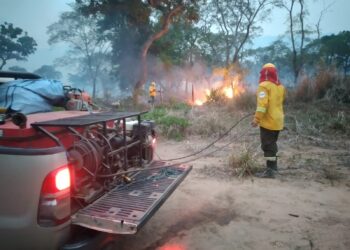 Bomberos combaten el fuego.