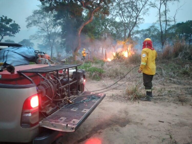 Bomberos combaten el fuego.