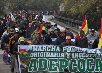 El lunes, cabildo cocalero de tres provincias definirá medidas por la aprehensión de dirigentes