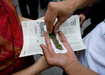 Mediante patrullajes preventivos en La Paz, la Policía aprehendió a seis personas en posesión de dos manzanas que contenían marihuana.