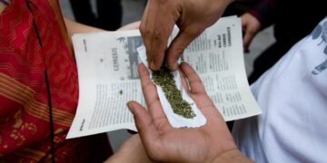 Mediante patrullajes preventivos en La Paz, la Policía aprehendió a seis personas en posesión de dos manzanas que contenían marihuana.