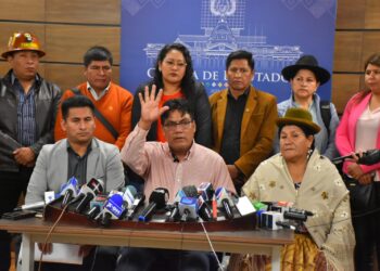 Parte de la bancada del MAS desahució un proyecto de ley partidario, en coincidencia con Evo Morales. Foto: APG