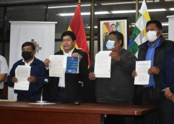 Con resolución, el Gobierno anula monopolio para la importación de vehículos nuevos