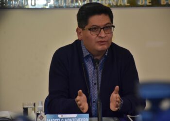 Montenegro: Bolivia tiene la capacidad de endeudamiento externo