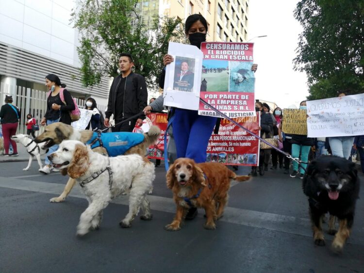 Este viernes, activistas alzarán la voz por los animales y pedirán endurecer la sanción por biocidio