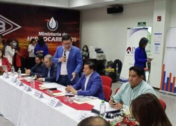 El ministro Sergio Cusicanqui en la mesa técnica de santa Cruz.
