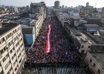 Los manifestantes pertenecientes a grupos políticos y asociaciones civiles portaban letreros que decían "Fuera Castillo". Foto: AFP