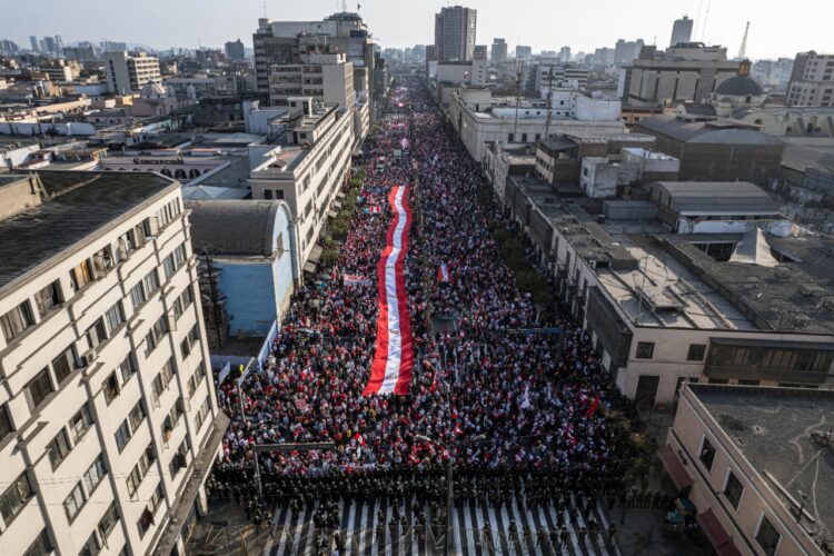Los manifestantes pertenecientes a grupos políticos y asociaciones civiles portaban letreros que decían "Fuera Castillo". Foto: AFP