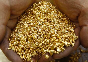 Interpol emitió sello azul para ciudadano indio que traficaba 318 kilos de oro