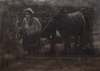 'Arado', la obra ganadora del concurso de artes plásticas. Foto: Secretaría Municipal de Culturas.