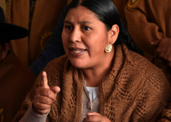 La directora de la Autoridad de la Madre Tierra, Angélica Ponce. Foto: APG