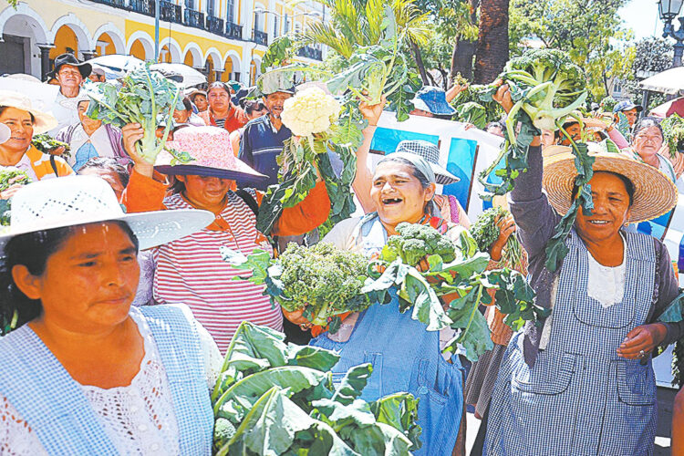 Paro indefinido: Comité cruceño se cierra al diálogo por el Censo