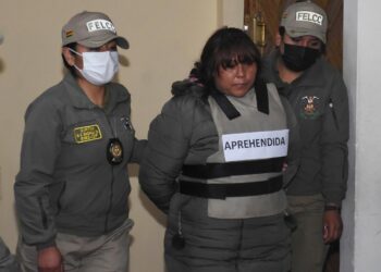 Juez dicta detención preventiva para la ‘autora confesa’ del rapto del bebé Álex