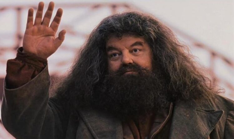Muere Robbie Coltrane, el gigante Hagrid de ‘Harry Potter’