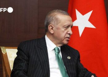 Erdogan ordena el inicio de tareas en Turquía para "centro gasístico" propuesto por Putin
