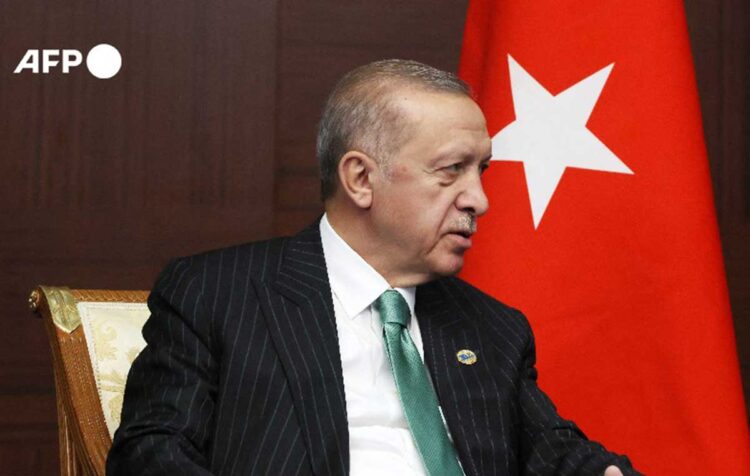 Erdogan ordena el inicio de tareas en Turquía para "centro gasístico" propuesto por Putin