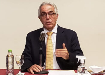 Relator de la ONU preocupado por dichos de Morales y dice que Áñez tiene derecho a juicio de responsabilidades