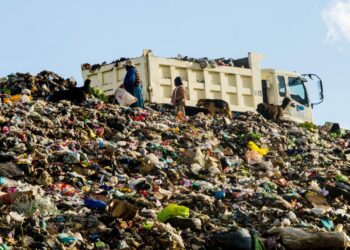 Con agresiones, frenan inspección al relleno sanitario de El Alto por el biocidio de canes