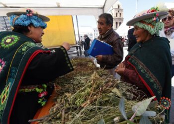 Parteras, yatiris y médicos naturistas se suman a los establecimientos de salud de El Alto