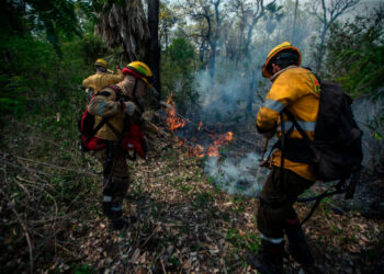 Los incendios persisten en Santa Cruz y Tarija, se alista apoyo aéreo