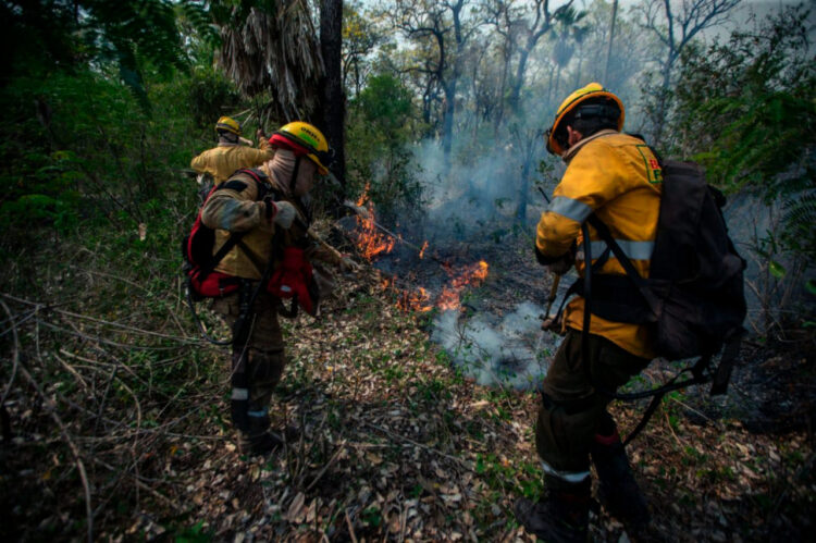 Los incendios persisten en Santa Cruz y Tarija, se alista apoyo aéreo