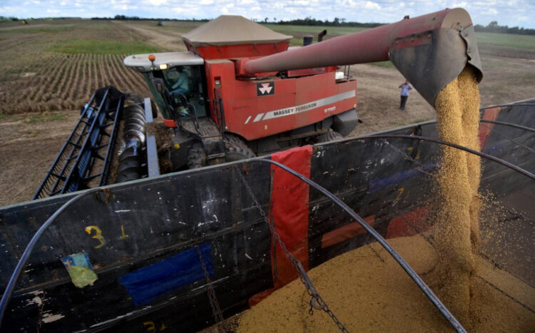 El Gobierno afirma que empresarios se dedicaron a la soya en desmedro del maíz