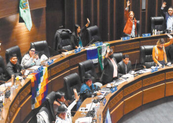 La Cámara de Senadores, escenario de enfrentamientos