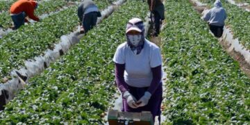 Tres condenados por someter a trabajos forzosos a mexicanos en EEUU