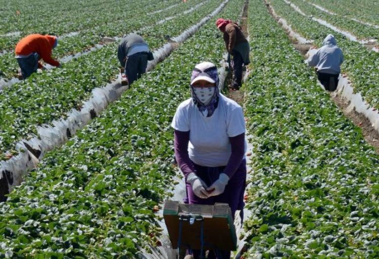 Tres condenados por someter a trabajos forzosos a mexicanos en EEUU