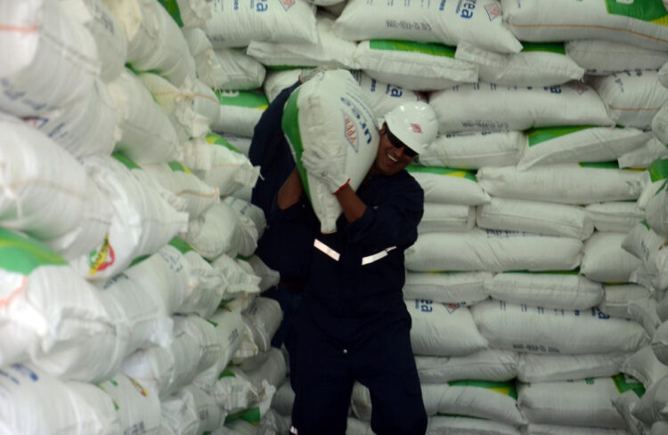 Exportación de urea, el volumen se dispara y el precio aumenta 18% en dos meses