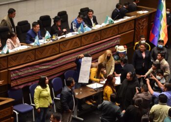 ¿Qué allanó la elección del Defensor? Conozca el artículo al que recurrió el MAS en la Asamblea Legislativa