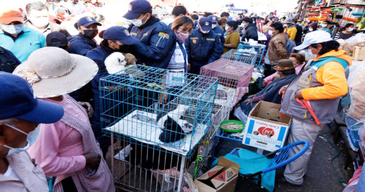Venta-ilegal-animales