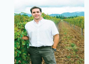 vinos